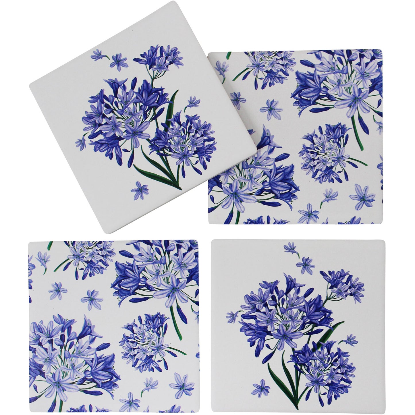 Agapantha Coasters