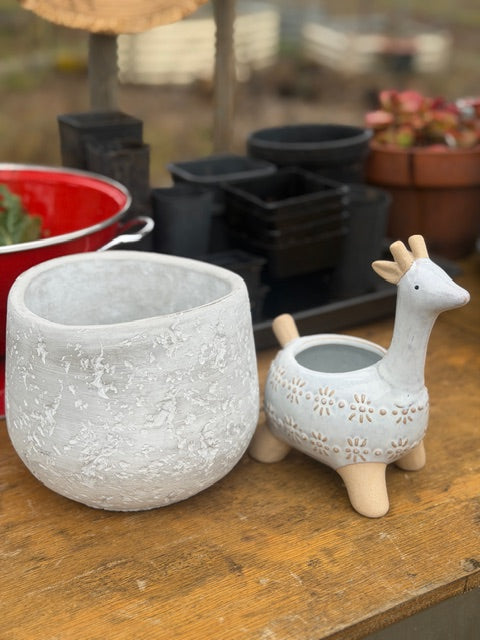 Rustic Cement Pot